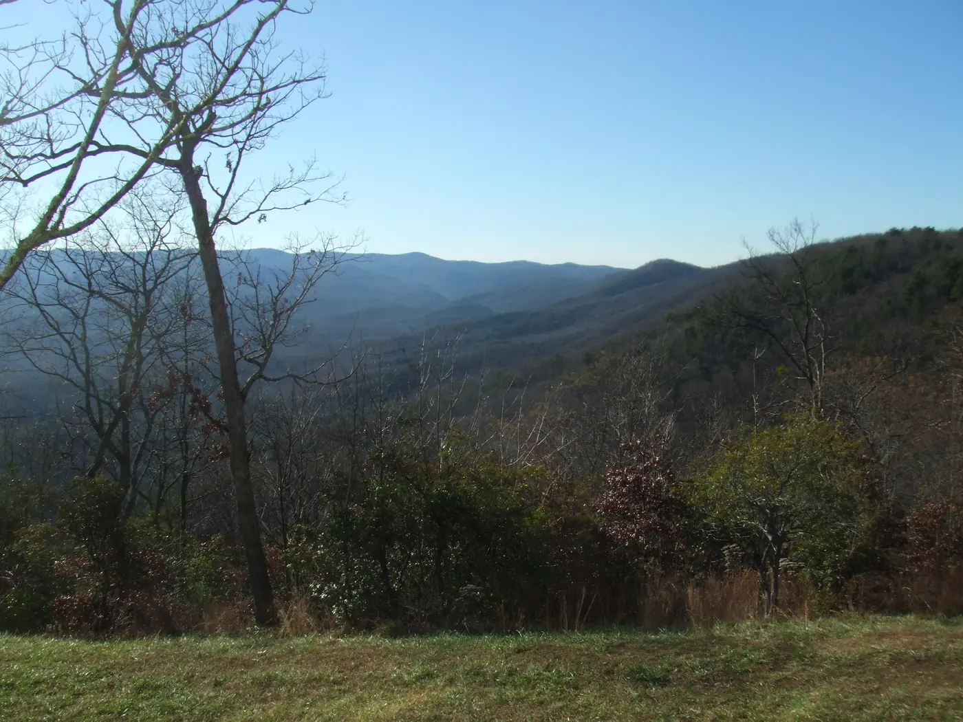 Late-autumn view over layered forested mountain ridges under a clear blue sky, with bare trees in the foreground