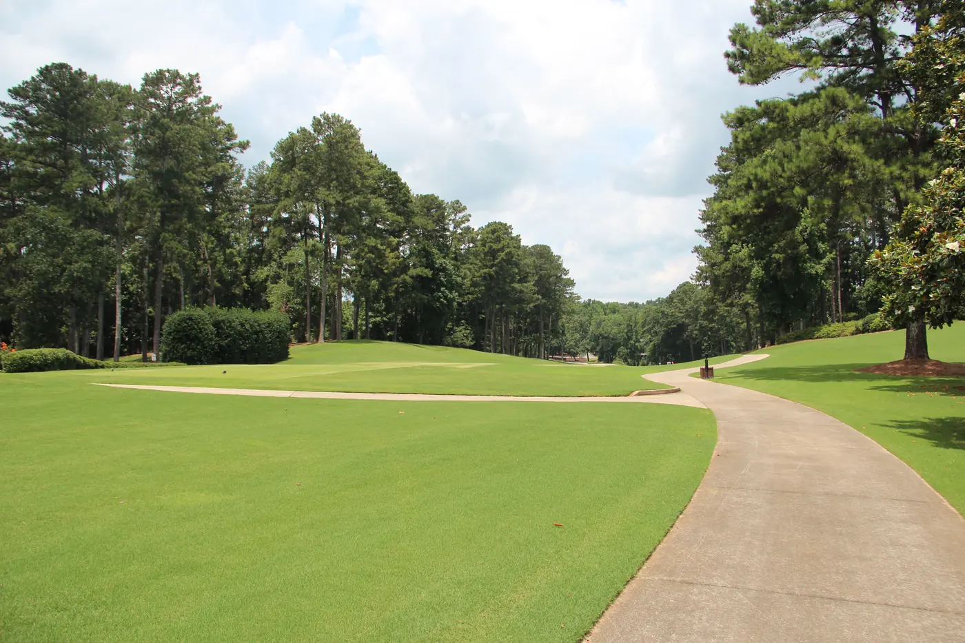 Concrete cart path curving along a tree-lined golf fairway framed by tall pines