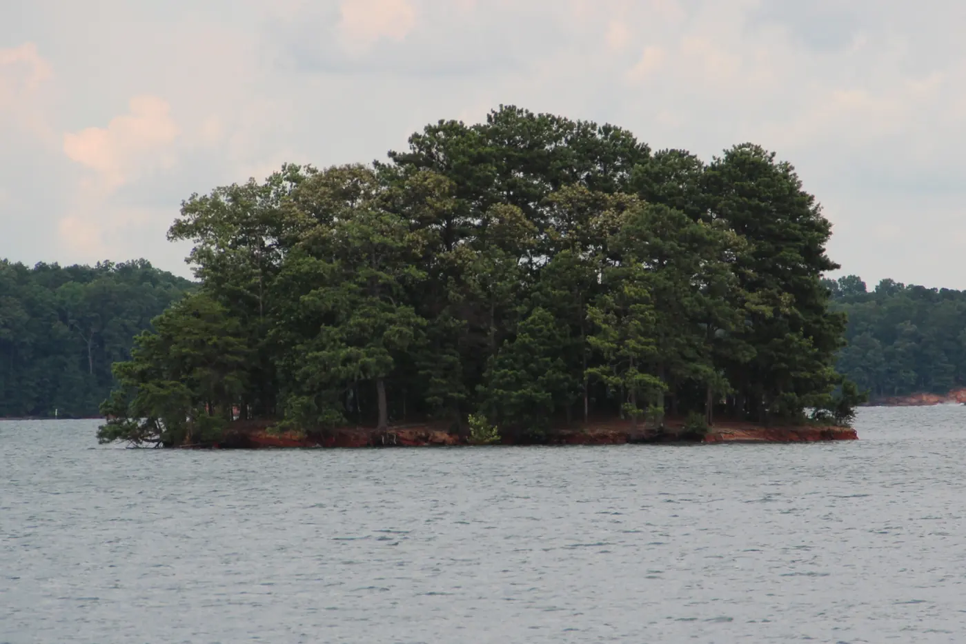 Small pine-covered island with a red clay edge in Lake Lanier