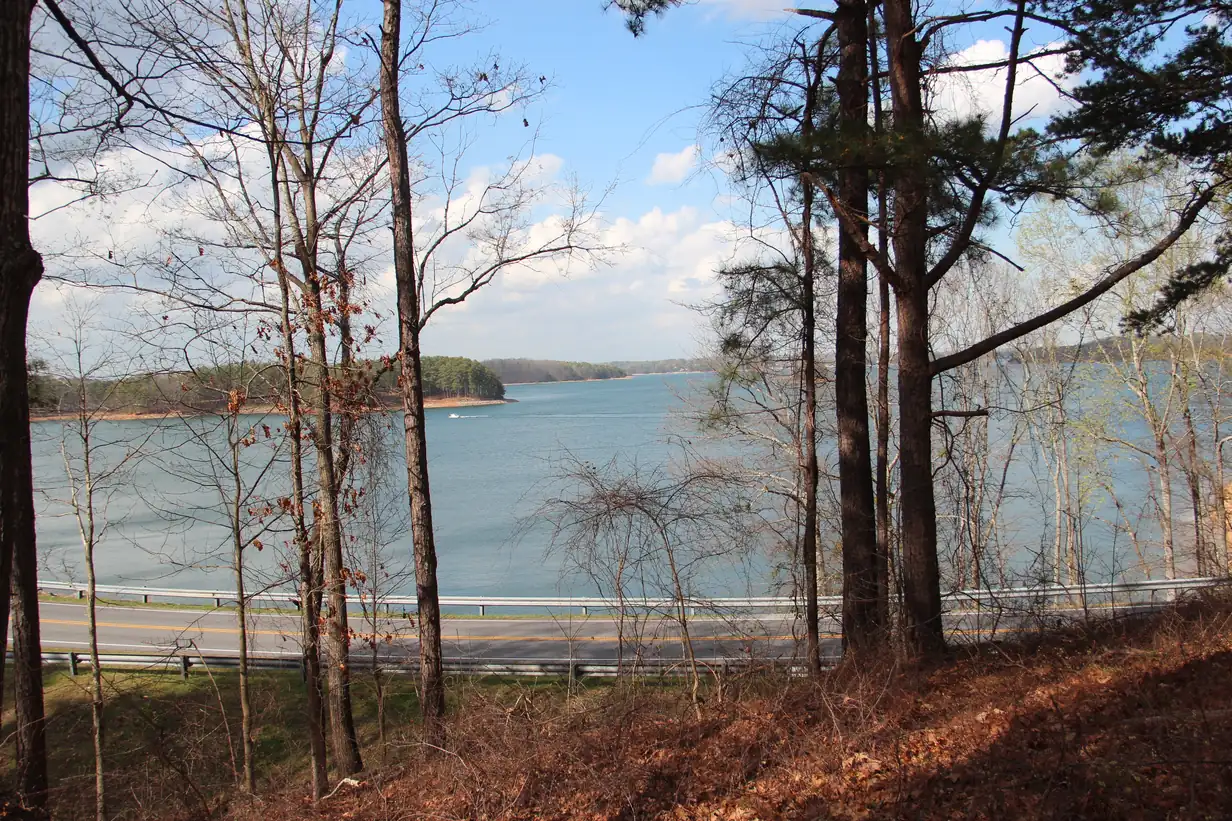 Lake Lanier seen through bare early-spring trees from a hillside above a road with a guardrail
