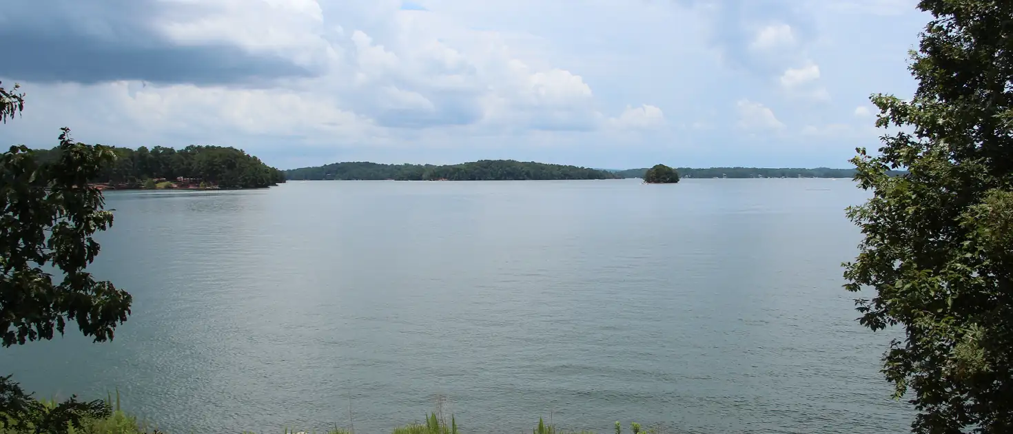 Wide view of Lake Lanier in summer framed by leafy trees, with green grasses in the foreground and wooded islands under a cloudy sky